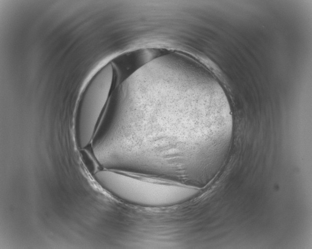 X0000078290904200611172119