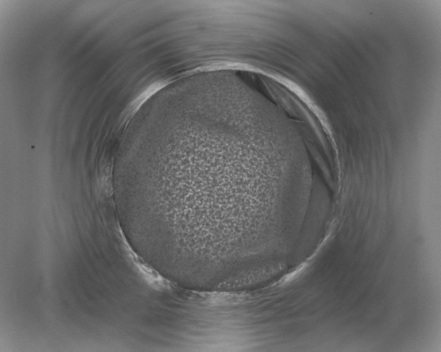 X0000078290905200611172119