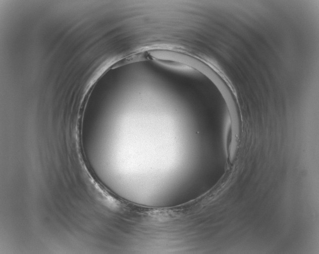 X0000078290906200611172119