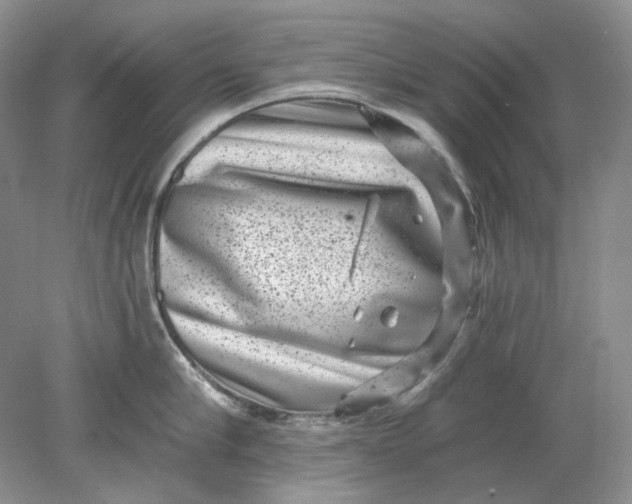 X0000078290910200611172119