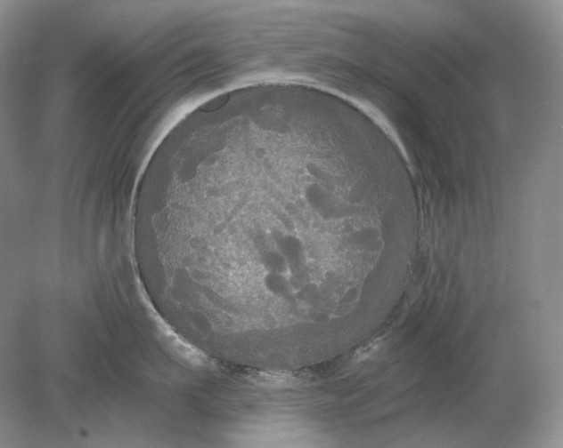 X0000078290911200611172119