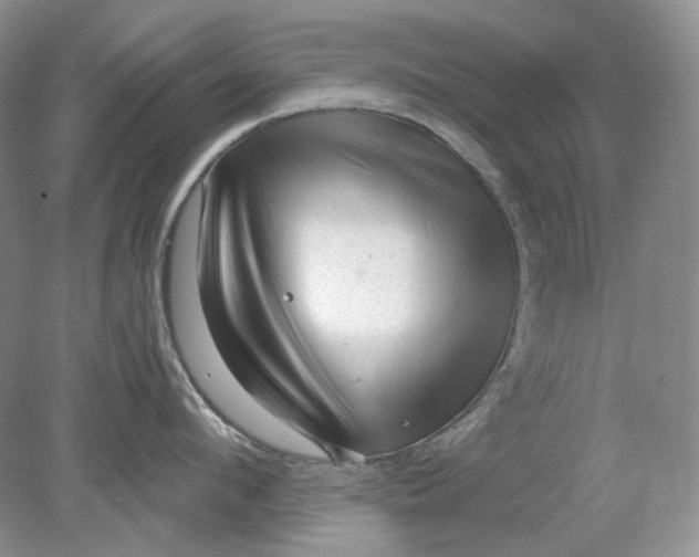 X0000078290912200611172119