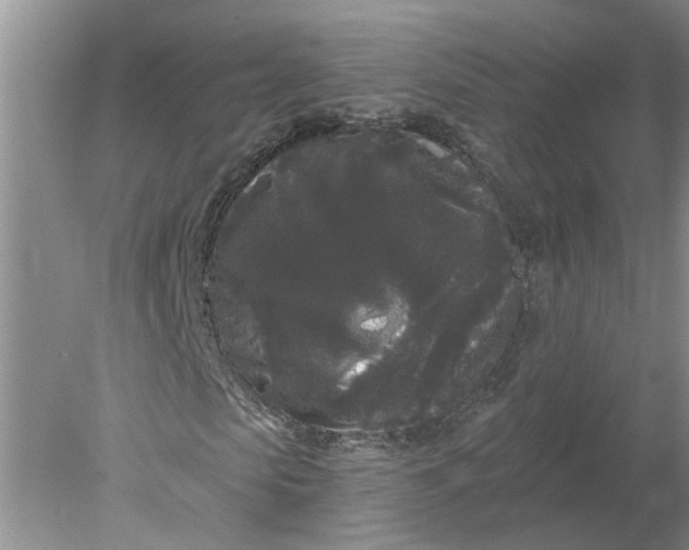 X0000078290913200611172118