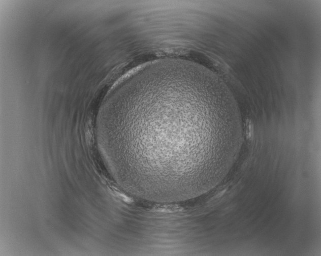 X0000078290915200611172118