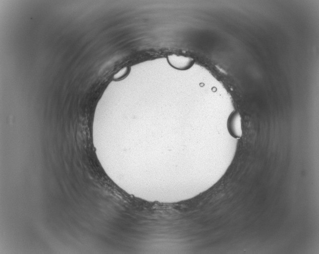 X0000078290918200611172118