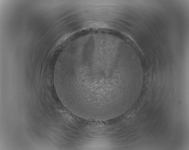 X0000078290919200611172118