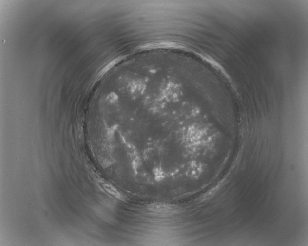 X0000078290921200611172118