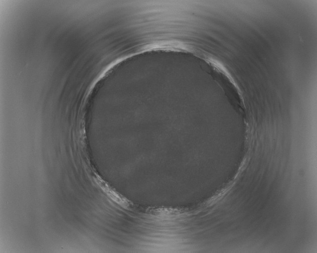 X0000078290923200611172118