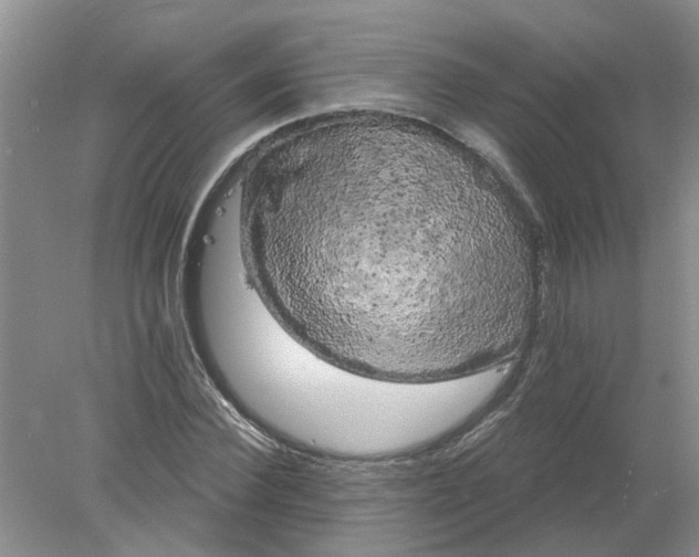 X0000078290924200611172118