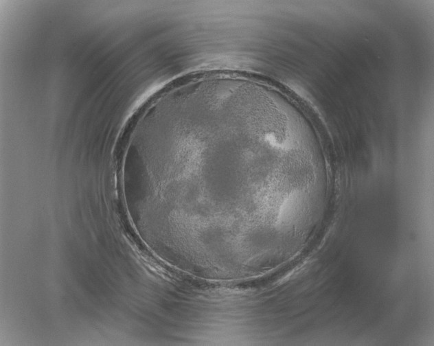 X0000078290925200611172118