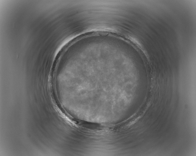 X0000078290928200611172118