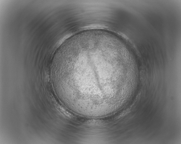 X0000078290929200611172118