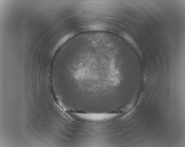 X0000078290930200611172118