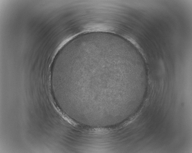 X0000078290933200611172118