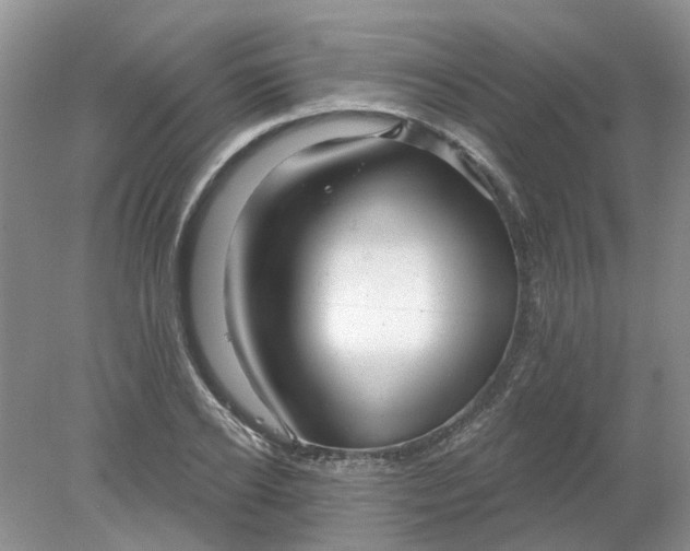 X0000078290934200611172118