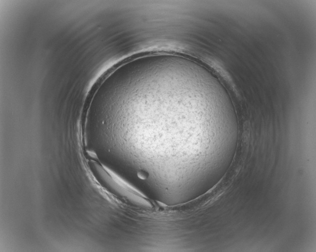 X0000078290936200611172119