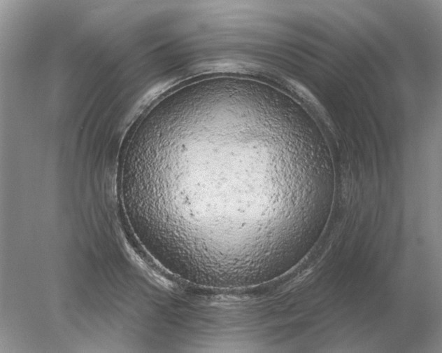 X0000078290938200611172119