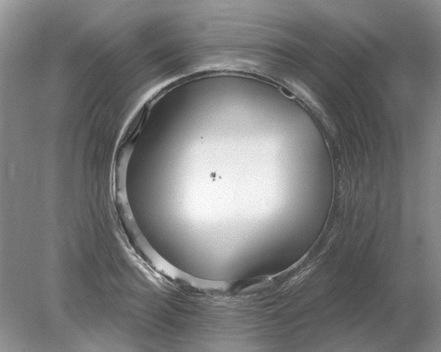 X0000078290940200611172119