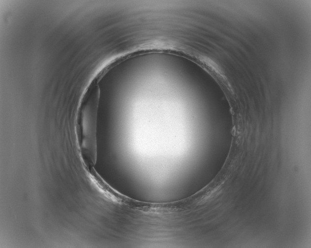 X0000078290942200611172119