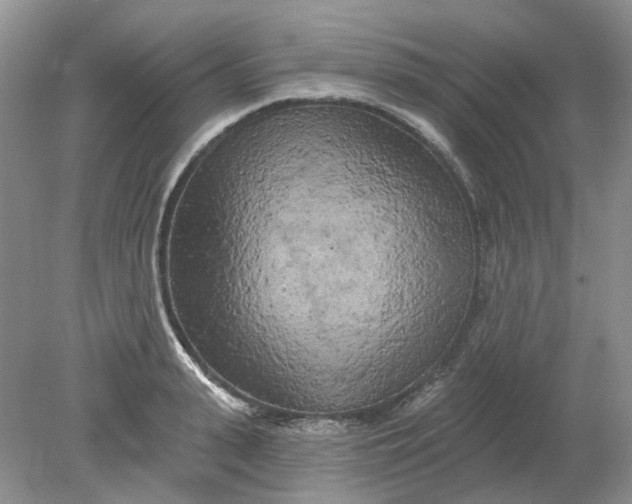 X0000078290943200611172119