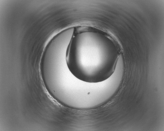 X0000078290944200611172119