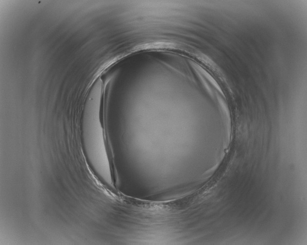 X0000078290945200611172119