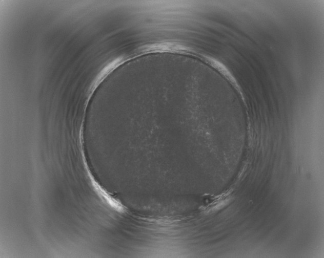 X0000078290946200611172119