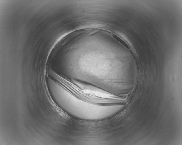 X0000078290948200611172119