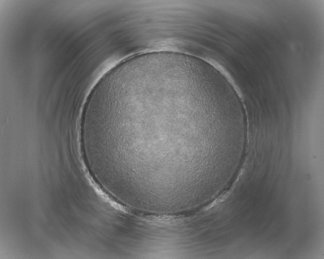 X0000078290949200611172119