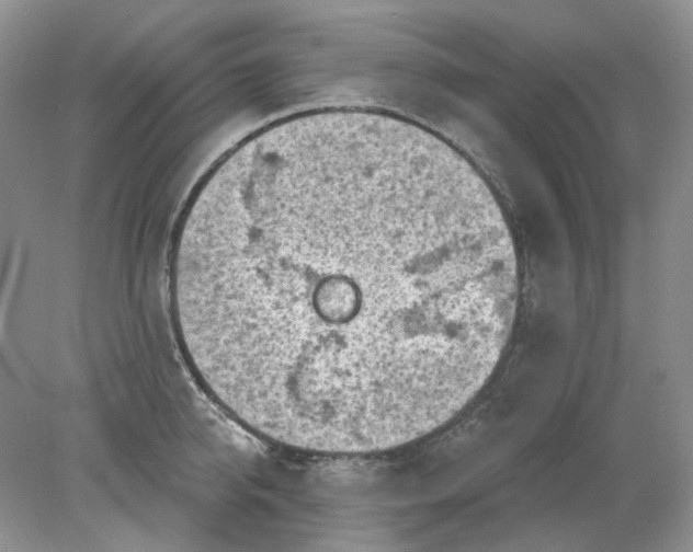 X0000078290950200611172119