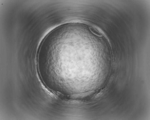 X0000078290951200611172119