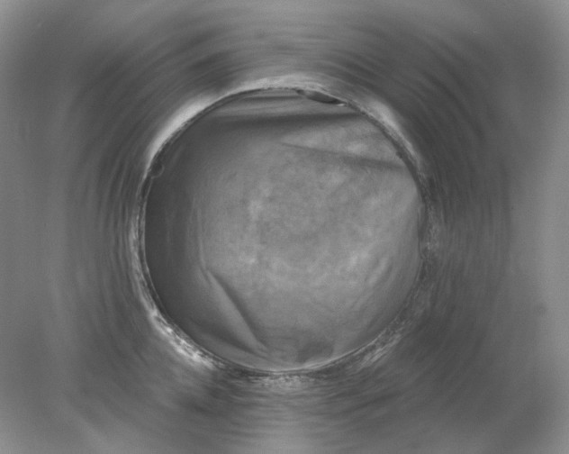 X0000078290952200611172119