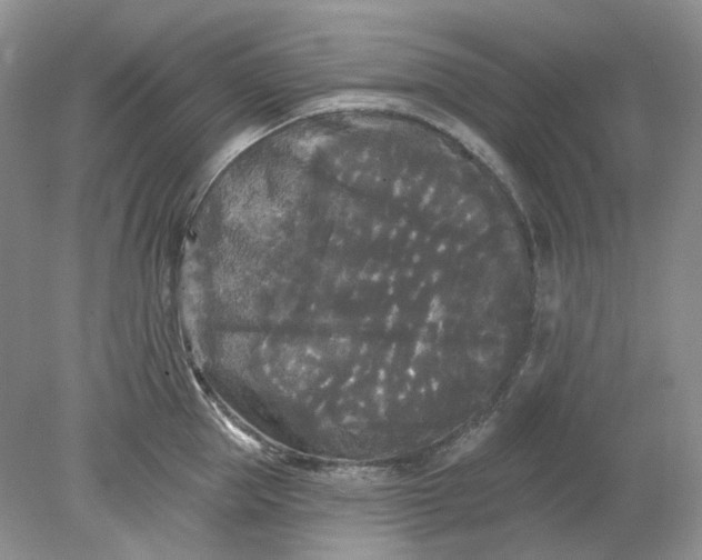 X0000078290953200611172119