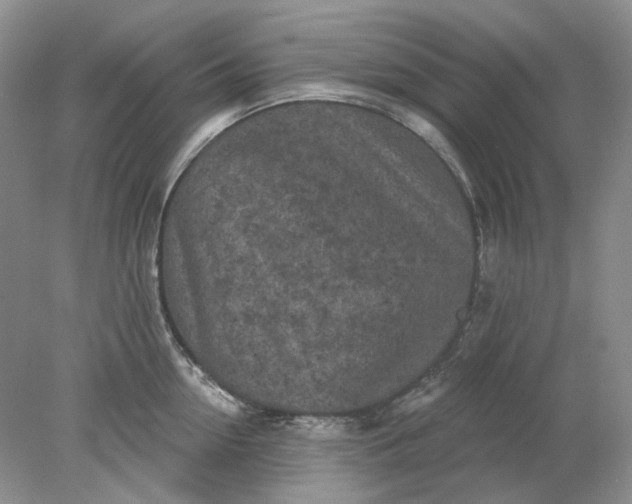 X0000078290954200611172119