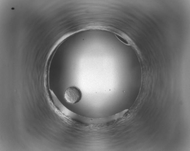 X0000078290955200611172119