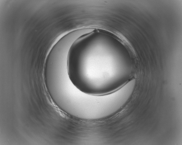 X0000078290956200611172119