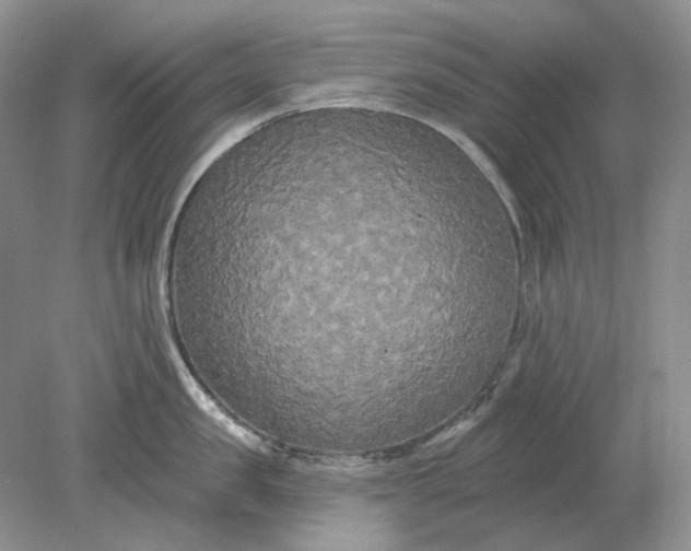 X0000078290957200611172119