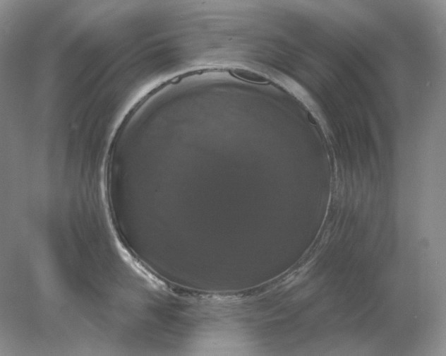 X0000078290958200611172119