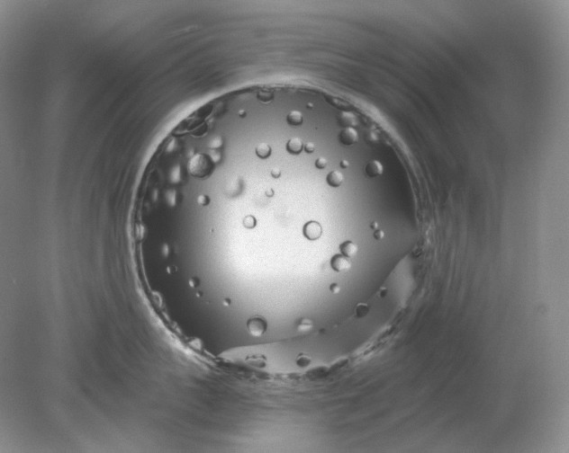 X0000078290959200611172119