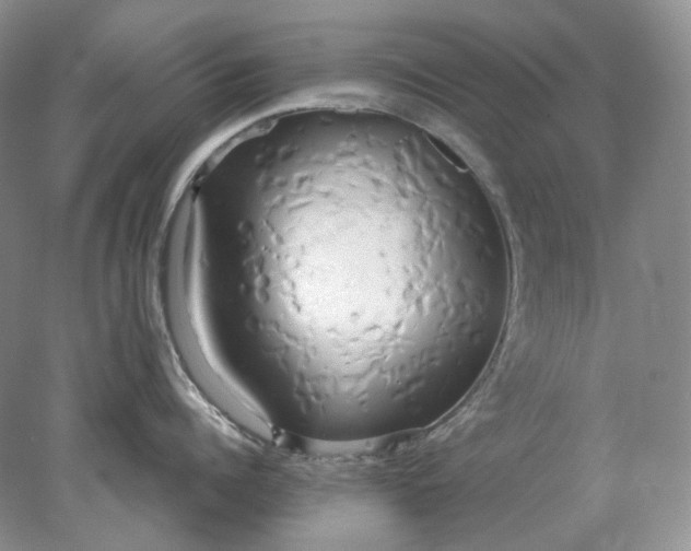 X0000078290960200611172119