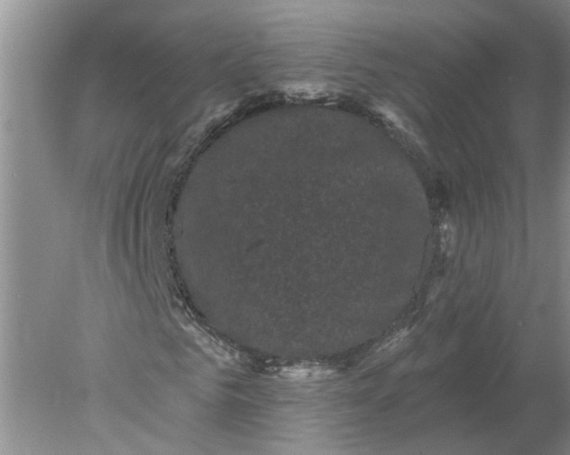 X0000078290961200611172118