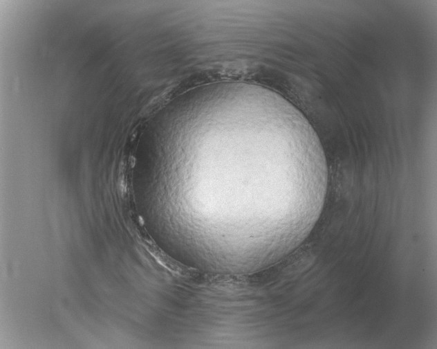 X0000078290962200611172118