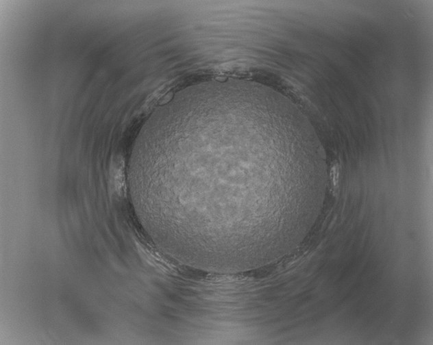 X0000078290963200611172118