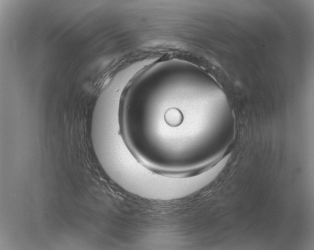 X0000078290965200611172118