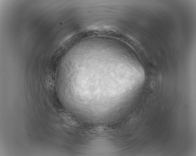 X0000078290966200611172118