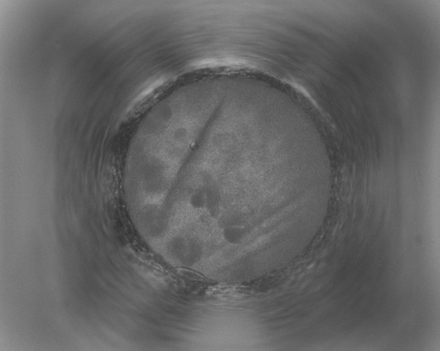 X0000078290967200611172118