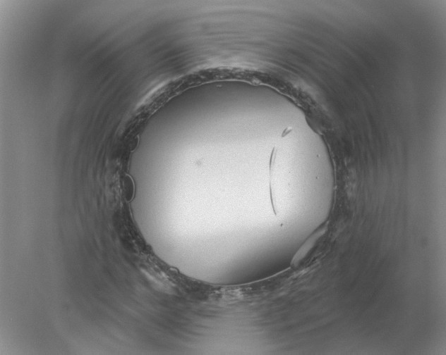 X0000078290968200611172118