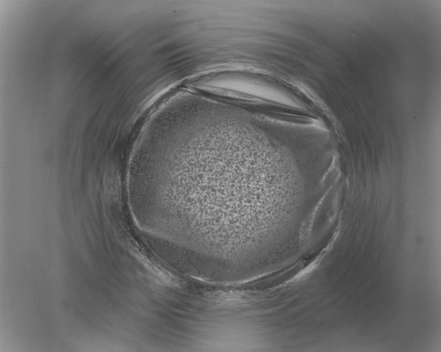 X0000078290969200611172118