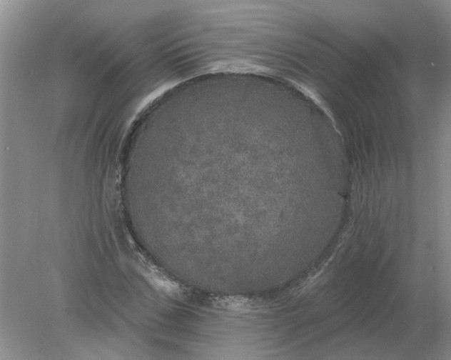 X0000078290971200611172118