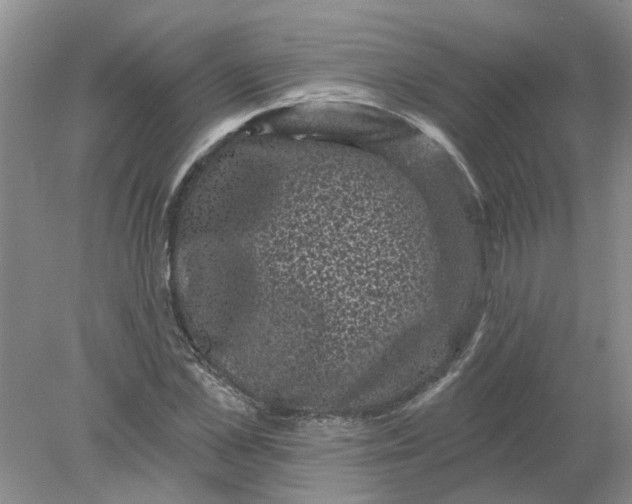 X0000078290973200611172118